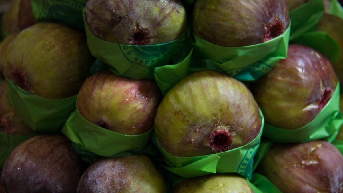 Figo roxo, a fruta que fez a fama de Valinhos