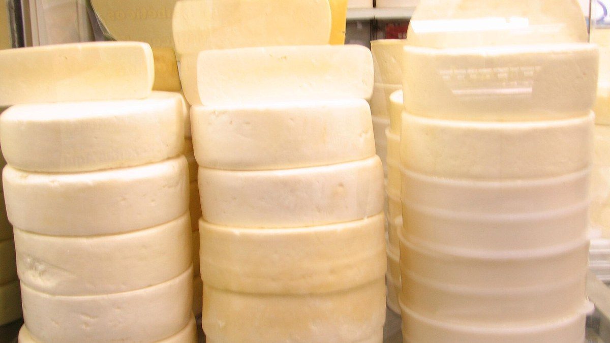 Peças de queijo Canastra em cura