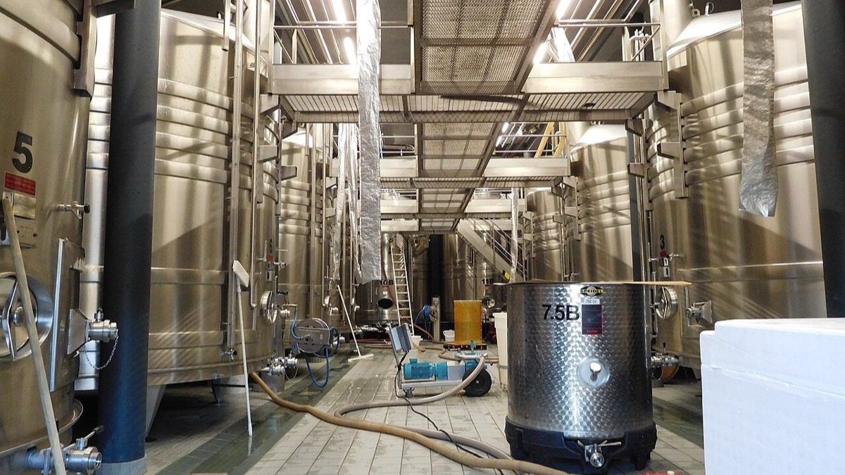 O Brasil vende vinho a US$ 1,88 o litro e compra a US$ 3,38 — e o melhor cliente é o Paraguai