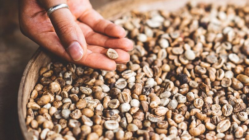 Um café de Minas saiu por R$ 134 mil a saca em Tóquio — e o preço do grão comum está caindo