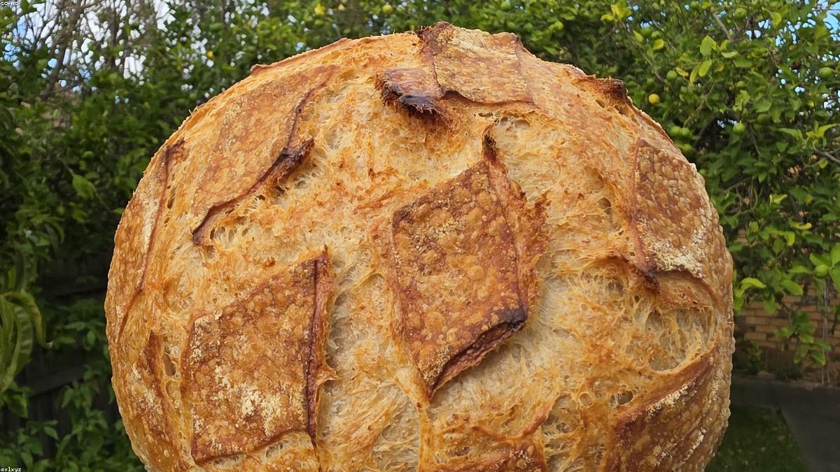 O mesmo pão custa R$ 2,50 numa padaria e R$ 16 na outra — e a lei está do seu lado