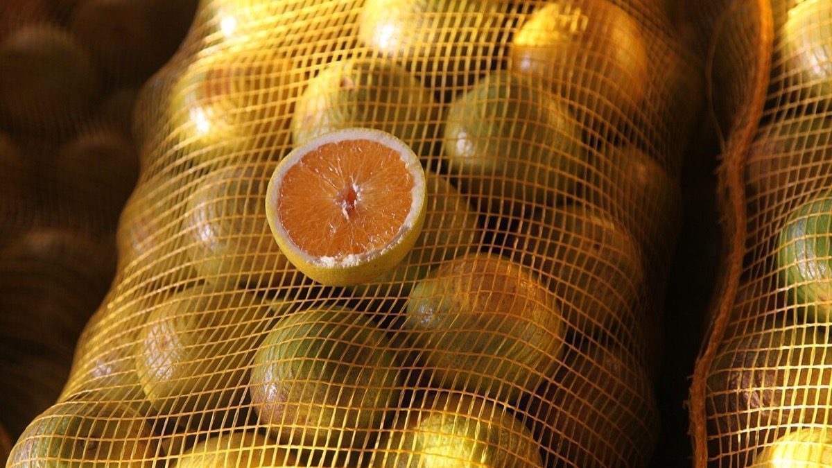 A Ceagesp perdeu um pavilhão de frutas para o fogo — 320 boxes, 100 comerciantes e a fruta do seu restaurante