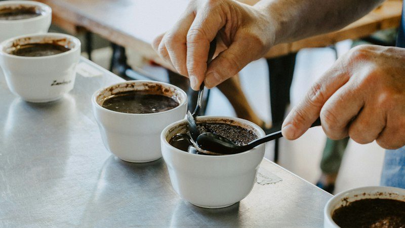 Três xícaras, uma diferente: o mineiro que virou tricampeão brasileiro de prova de café