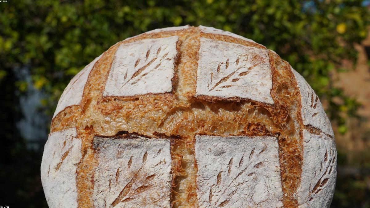A volta do pão de verdade: por que a fermentação natural tomou as padarias