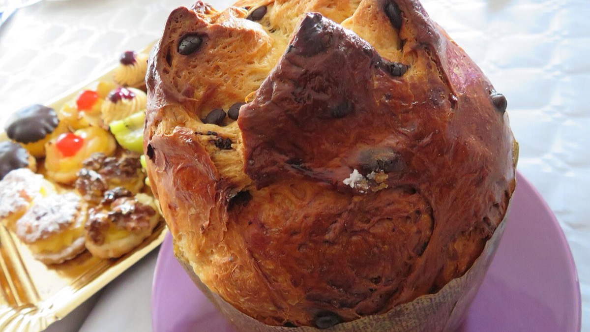 O panetone chegou em agosto — e a padaria vai vender Natal por quatro meses