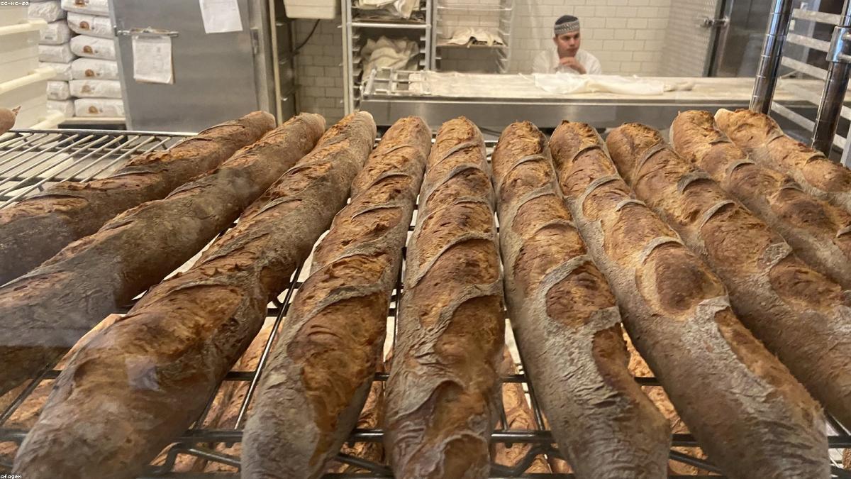 O pão de fermentação natural virou grife — mas é o pão francês que sustenta a padaria